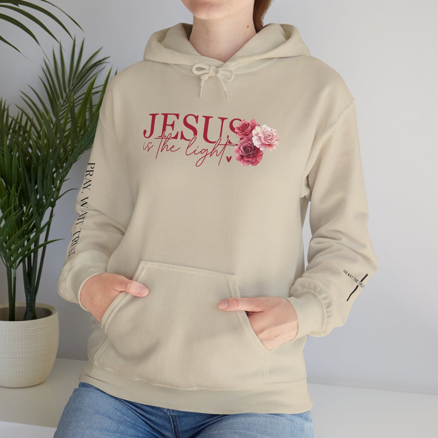 Jesus is the Light Hoodie