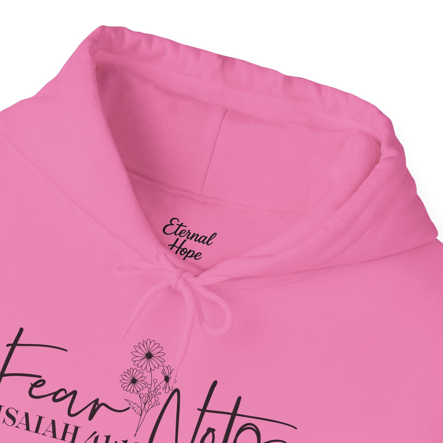 Hooded Sweatshirt - "Fear Not"