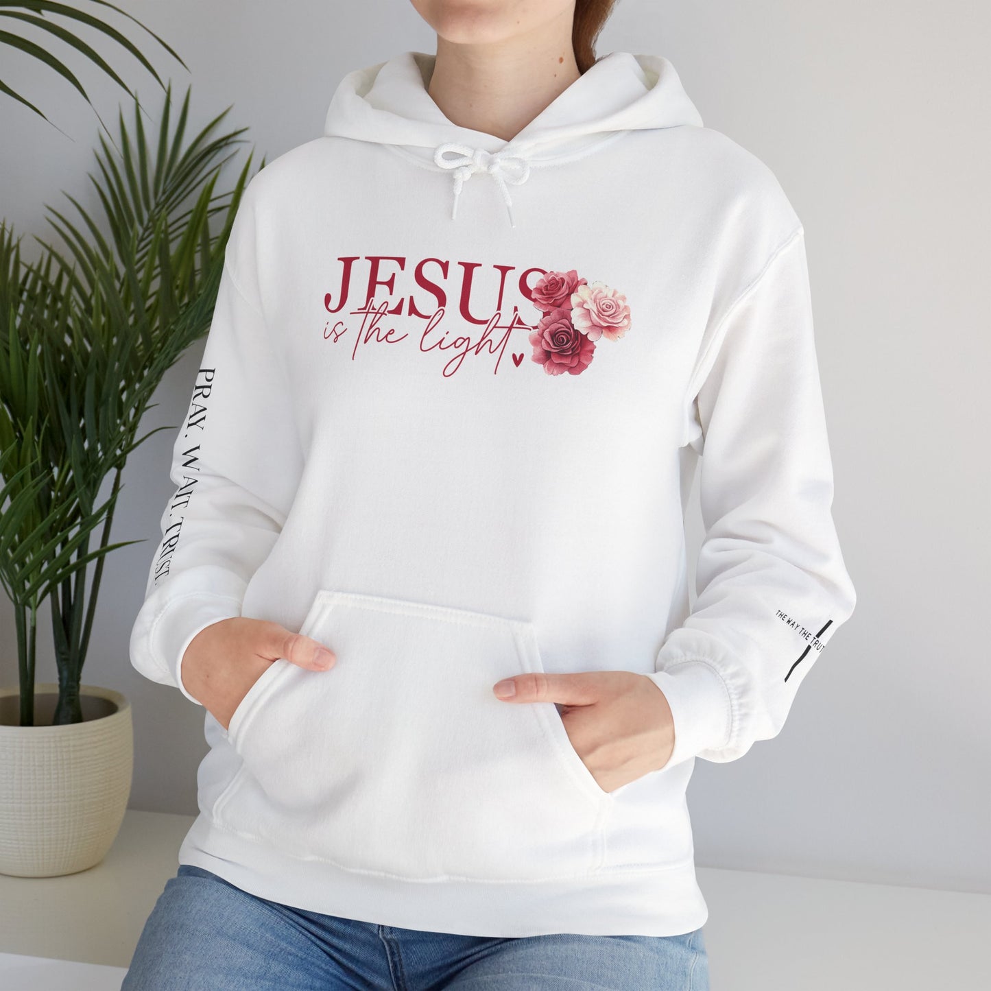 Jesus is the Light Hoodie