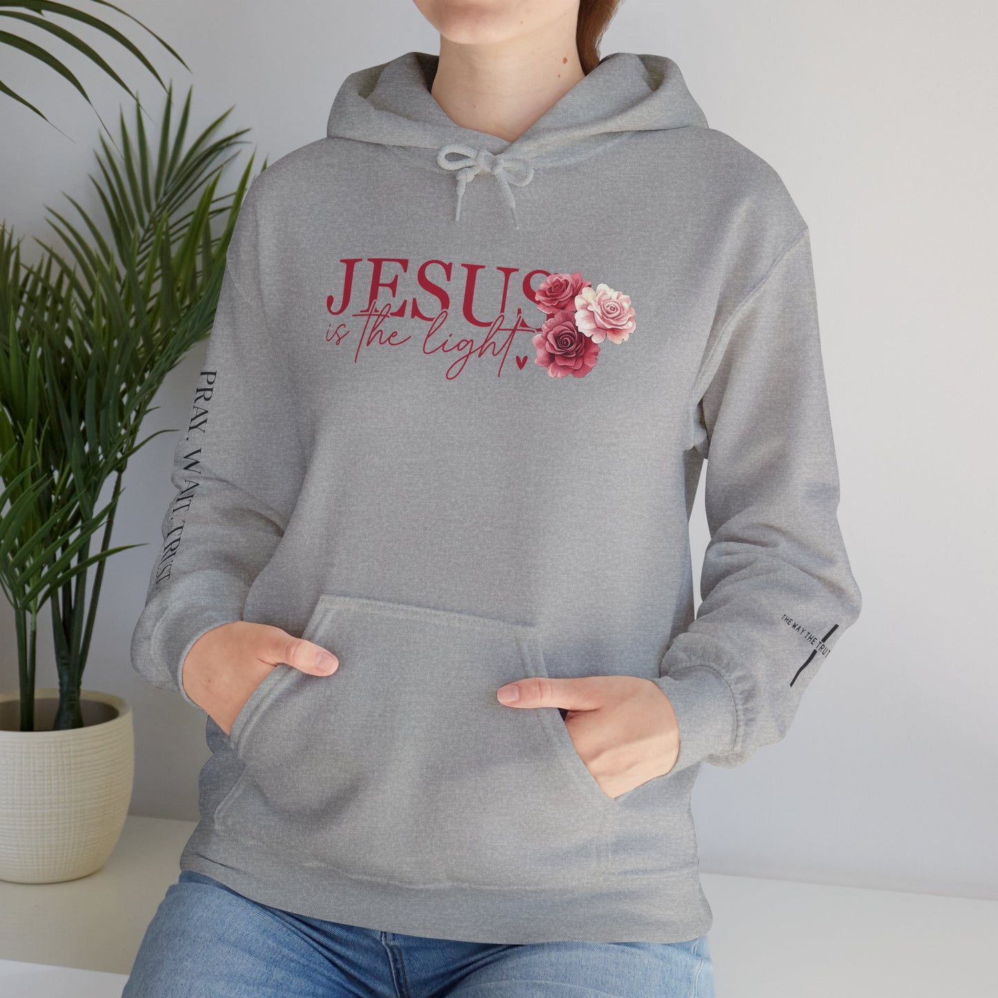 Jesus is the Light Hoodie